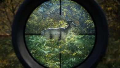 Thehunter: Call Of The Wild Free Download (v1939208)